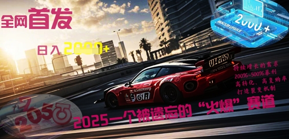 全网首发：2025一个被遗忘的“火爆”赛道轻松日入多张-678网创