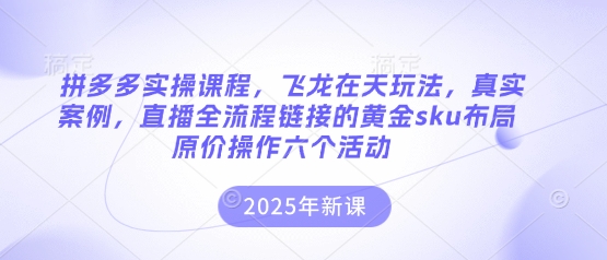 拼多多实操课程，飞龙在天玩法，真实案例，直播全流程链接的黄金sku布局原价操作六个活动-678网创