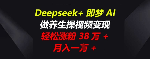 Deepseek+即梦AI，做养生操视频变现，轻松涨粉38W+，月入一W+-678网创