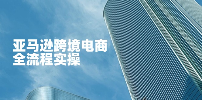 （14252期）亚马逊跨境电商全流程实操，教你从零开始，掌握店铺运营与广告技巧-678网创