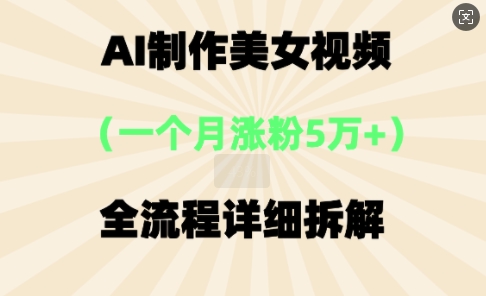 AI制作美⼥视频，⼀个⽉涨粉5万，全流程详细拆解-678网创