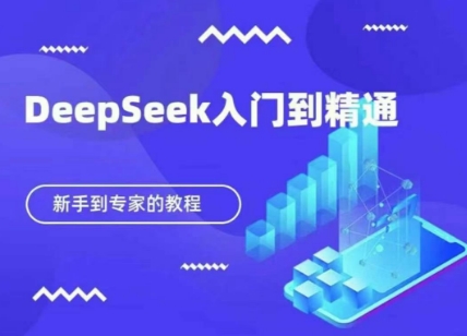 DeepSeek快速从入门到精通，新手的保姆级教程-678网创