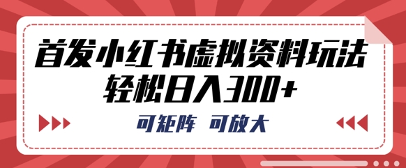 首发小红书虚拟资料玩法，可矩阵，可放大，轻松日入3张-678网创