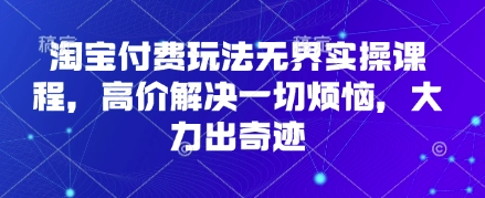 淘宝付费玩法无界实操课程，高价解决一切烦恼，大力出奇迹-678网创