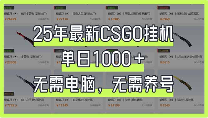 （14178期）25年最新CSGO挂机系统，单日1000+，无需电脑，无需养号，0基础可上手-678网创