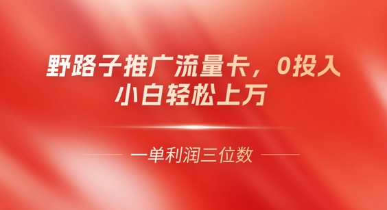 0门槛推广流量卡，一单收益上百，0投入，小白月入过W-678网创