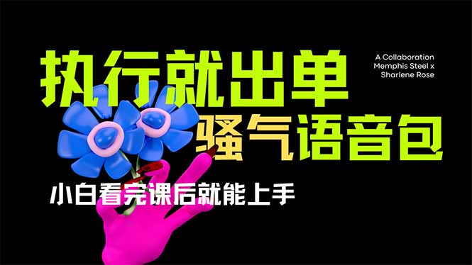 （14170期）爆火全网的开车导航骚气语音包,只要执行就出单，小白看完课程就能实操...-678网创
