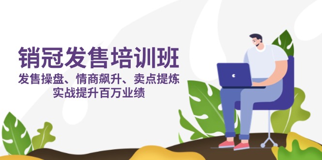 （14203期）销冠 发售培训班：发售 操盘+情商 飙升+卖点 提炼，实战提升百万业绩-678网创