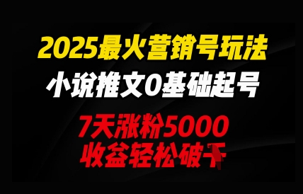 2025最火营销号玩法：小说推文0基础起号，7天涨粉5000，收益轻松破k-678网创