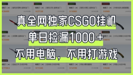 真全网独家CSGO挂G，单日捡漏1k+【揭秘】-678网创