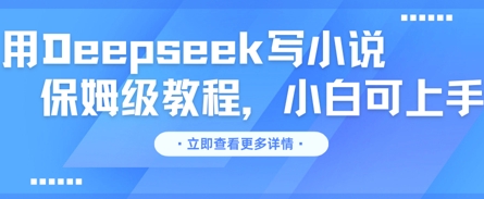 用Deepseek写小说，保姆级教程，小白可实操-678网创