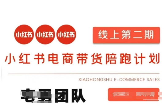 小红书电商带货课2期，月利润20个的小红书电商的有货源，无货源，虚拟产品，付费投流等整套玩法-678网创