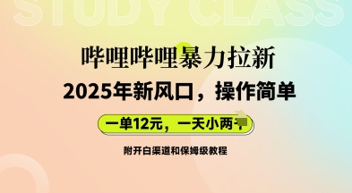 哔哩哔哩暴力拉新：2025年新风口，一单12元，一天数张(附开白渠道和保姆级教程)-678网创