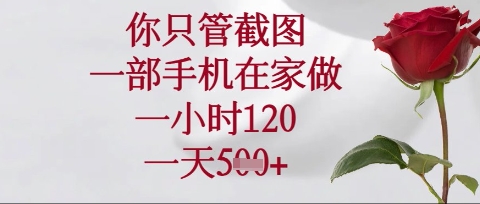 你只管截图，一部手机在家操作，一小时120.一天5张【揭秘】-678网创