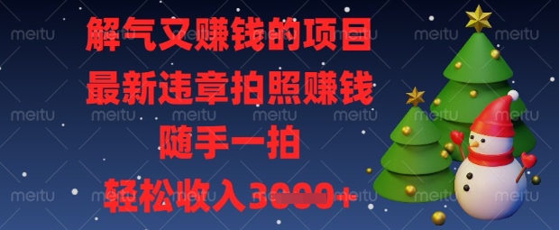 解气又挣钱的项目，最新违章拍照挣钱，随手一拍，轻松收入数张【揭秘】-678网创